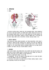 성인간호학 APN case