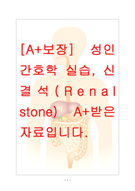 [A++보장]성인간호학실습-신결석(Renal stone), 4개의 간호진단, 4개의 간호과정으로 적용된 26페이지 고퀄리티 자료입니다. #성인간호학실습 #신결석 #Renal stone #renalstone #A+보장 #신결석 간호과정 #신결석 간호진단