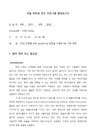 학부생 연구프로그램 보고서