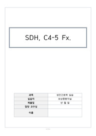 [A+성인간호학실습] SDH, C4-5 Fracture 케이스, 문헌고찰, 간호사정, 간호과정 완벽정리