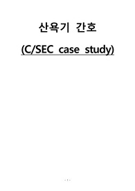 [A+ BEST!] 모성간호학 제왕절개(c-sec) Case Study   간호과정 3개