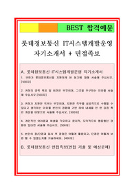 롯데정보통신자기소개서, IT분야자소서
