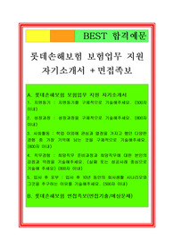 롯데손해보험 자기소개서
