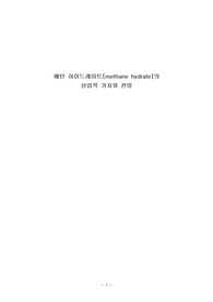 메탄 하이드레이트[methane hydrate]의 상업적 가치와 전망