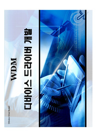 윈도우 드라이버 모델과 디바이스 드라이버 발표자료 (WDM  디바이스 드라이버 ppt)