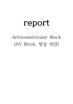 성인간호학 Artrioventricular Block(AV Block) 방실차단 심장간호과정 case study