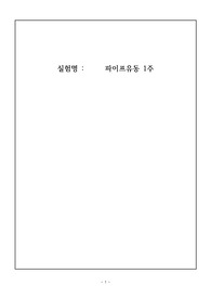 파이프유동 실험 레포트 (관내마찰실험)