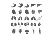 신체 장기 PPT 아이콘 (심장, 신장, 폐, 간, 뇌) 픽토그램 (색 변경 가능)