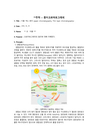 일반생물학및실험2 종이크로마토그래피 실험 레포트[A+]