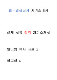 한국관광공사- 2019 년 실제 서류합격 자기소개서