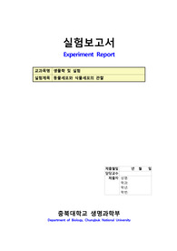 [생물학및실험] 동물세포와 식물세포의 관찰 실험보고서