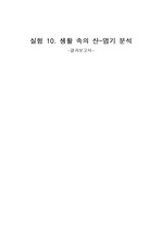 실험 10. 생활 속의 산-염기 분석 결과보고서