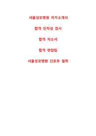 서울성모병원 자기소개서, 인적성검사 합격팁, 면접합격팁, 간호부철학 [간호사]