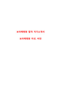 보라매병원 합격 자기소개서, 보라매병원 미션, 비전 [간호사]