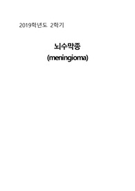 뇌수막증 문헌고찰