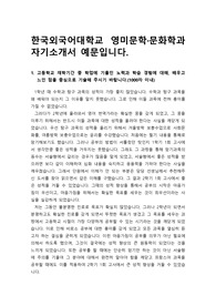 [대입][수시] 한국외국어대학교 영미문학 문화학과 최종합격 자기소개서