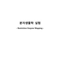 제한효소지도 실험보고서