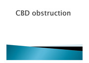 CBD obstruction(총담관폐쇄)