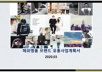 해외 명품 브랜드 유통 사업계획(케링그룹, 구찌, 발렌시아가, 생로랑, 보테가베네타)