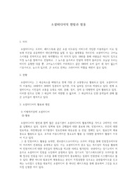 인터넷 윤리 - 소셜미디어의 현황과 활용