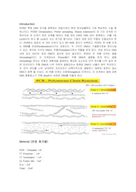 생명과학/생명공학/생명시스템 관련 PCR 레포트입니다.