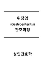 성인간호학 위장염 간호과정, Gastroenteritis