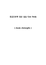 [성인간호학] 급성 담관염 (acute cholangitis) 케이스스터디 / 간호진단 및 간호과정 2개