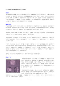 [모성간호학-케이스A+]자궁경부암 Cervical CA 간호과정3개