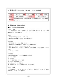[아동간호학-케이스]급성 세기관지염(Acute bronchiolitis) 소아과 아동간호과정 간호진단