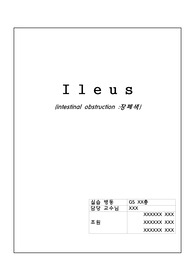 [성인간호학실습 케이스]장폐색(ileus) 간호과정 및 간호진단