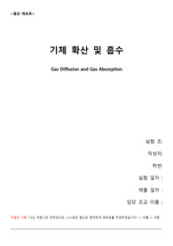 [2019 A+ 인하대 화학공학실험] 기체 확산 및 흡수 결과보고서 화공실결보