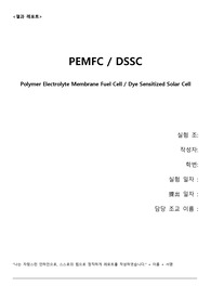 [2019 A+ 인하대 공업화학실험] PEMFC, DSSC 결과보고서 공화실 결보