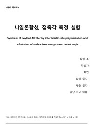 [2019 A+ 인하대 공업화학실험] 나일론 예비보고서 공화실 예보