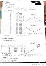 spectrophotometer를 이용한 Mn의 농도 결정 결과 보고서