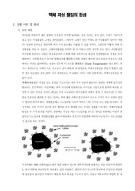 [일반화학실험]액체 자성 물질의 합성