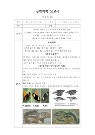 [생명과학]동-이소적 종분화에 대한 보고서
