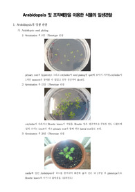 [식물생태학실험]Arabidopsis 및 조직배양을 이용한 식물의 일생관찰