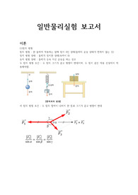 일반물리실험 힘의 평형 결과보고서