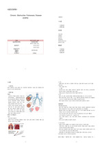 COPD만성폐쇄성폐질환 케이스 (A+)페이지21