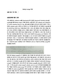 Methyl orange 합성