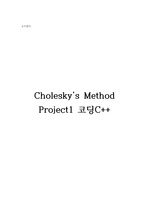 수치해석 Cholesky's method project1 C++