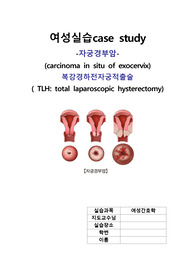 &quot;수술실&quot; 여성간호학 실습 자궁경부암, 복강경하전자궁적출술 A++간호진단 5개, 간호과정1개 (전신마취와 관련된 비효과적 호흡양상)