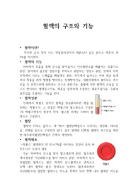 혈액의 구조와 기능