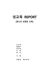 청소년을 대상으로 한 청소년 성교육 교안