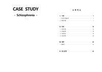 정신간호 조현병 정신분열병 case A+ 간호과정 3개 자세함 약물정리