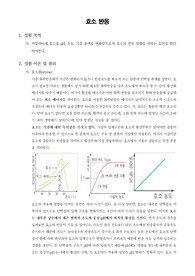 [일반생물학실험]효소 반응