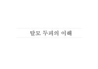 탈모두피의 이해