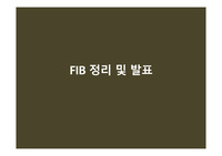 FIB (Focused Ion Beam) 정리 및 발표자료 레포트