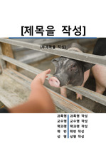 레포트 표지[돼지,Pig,피그,동물,야생,생물,환경,자연]
