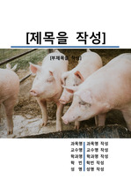 레포트 표지[돼지,Pig,피그,동물,야생,생물,환경,자연]